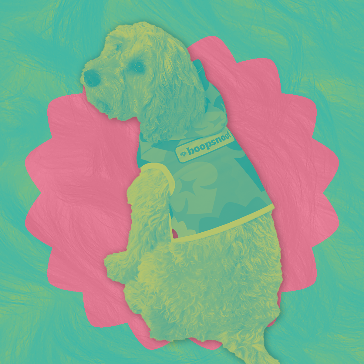 Boopsnoot Pet Hoodie